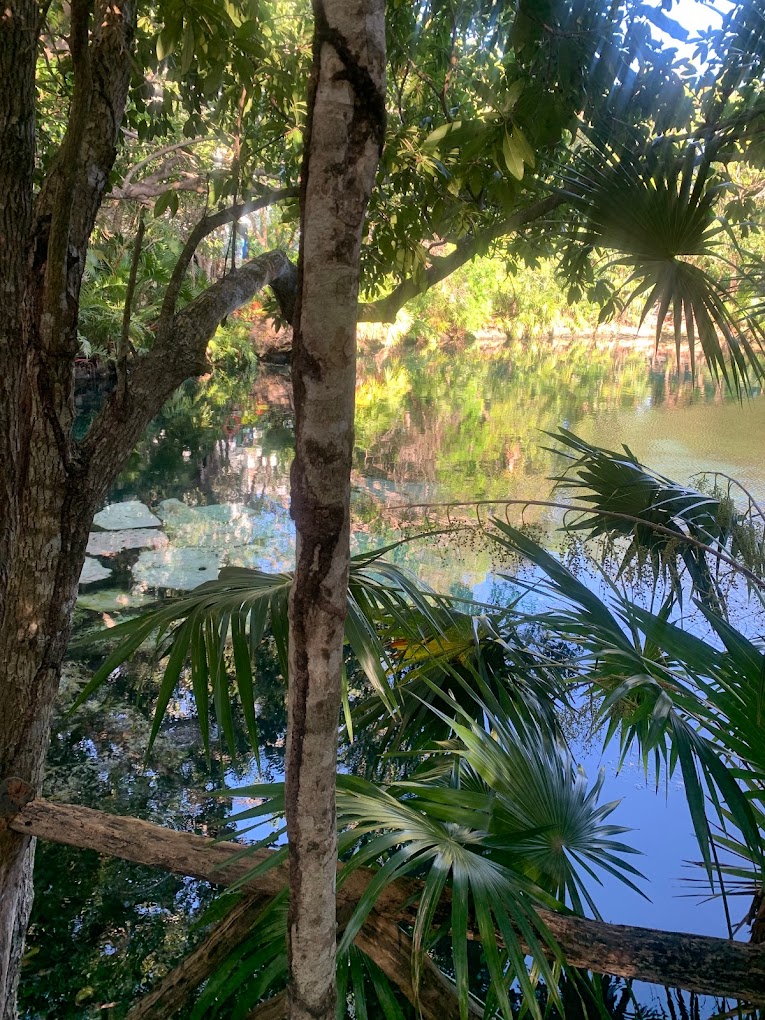 Imagen de Cenote Cristalino