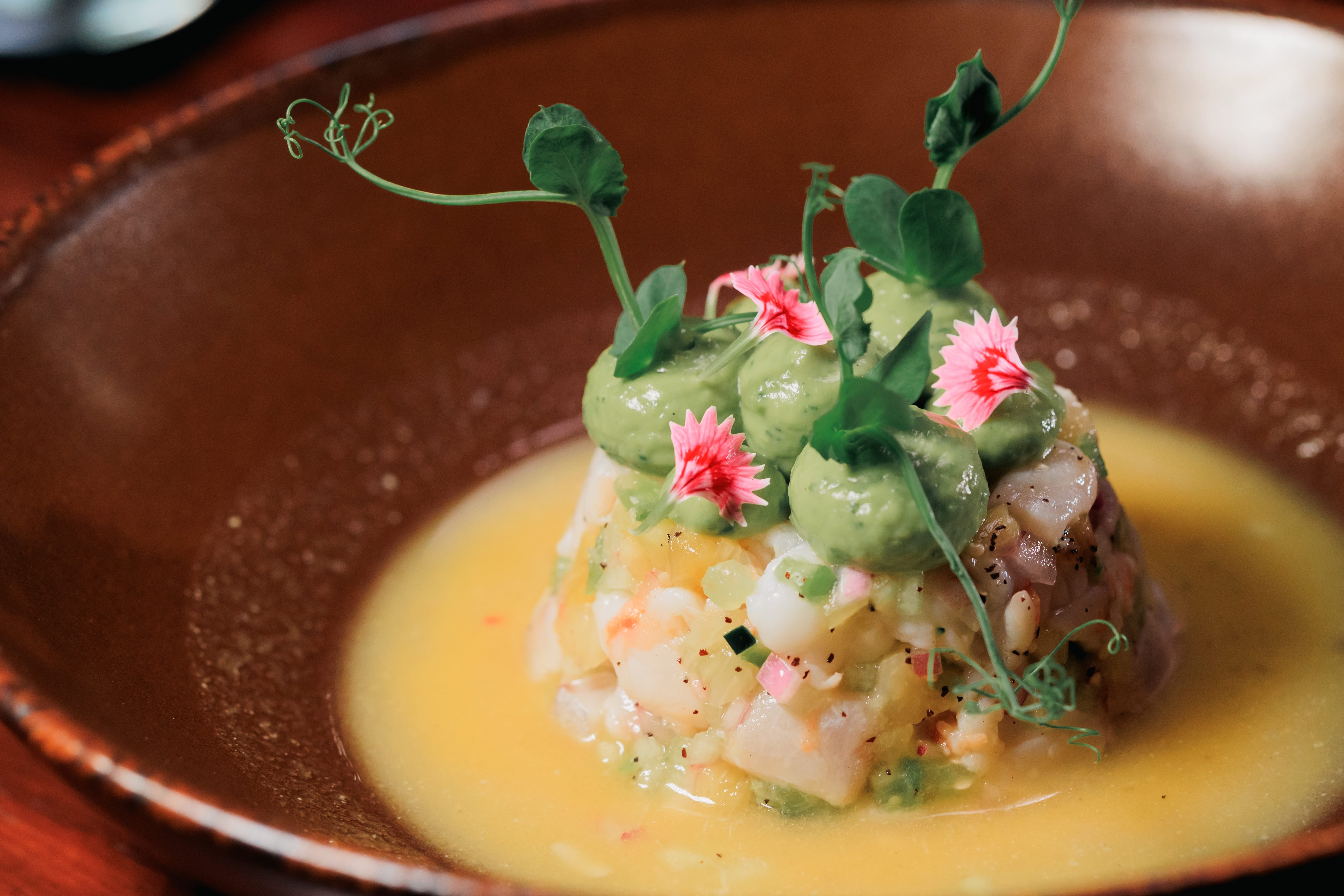Deléitate en el Paraíso Gastronómico de Playa del Carmen: Una Experiencia Única para los Foodies