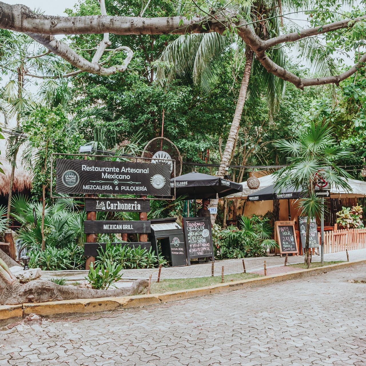 Imagen de Perla Pixán