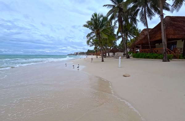 Imagen de Playa Petrel